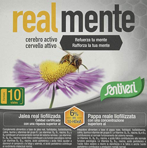 Santiveri Realmente Cerebro Activo 10 V 100 ml - 100 g