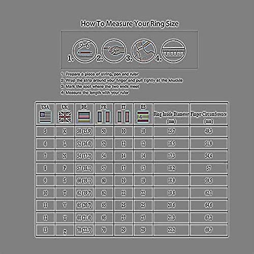 SARUI Anillos para Mujer Antialérgico y Prevención de La Oxidación Anillo De Acero Inoxidable Anillo De Dragón Doble Anillo De Sombreado Azul  Negro Dragón Doble Negro 11