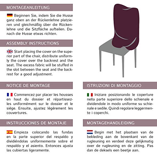 SCHEFFLER-Home Anna 2 Fundas de sillas, Estirable Cubiertas, Moderna extraíble flexibel Funda con Banda elástica, Marfil