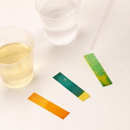 Science4you - Química 600 - Juguete científico y educativo (480343)