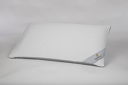 Seasons Almohada Viscoelástica Carbono Activo Perforado Transpirable Malla 3D que Reduce Sudor, 70 cm