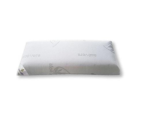 Seasons- Almohada viscoelastica de 80 cms, Antiácaros y Antibacterias , tejido Aloe vera hilo de plata. Doble funda