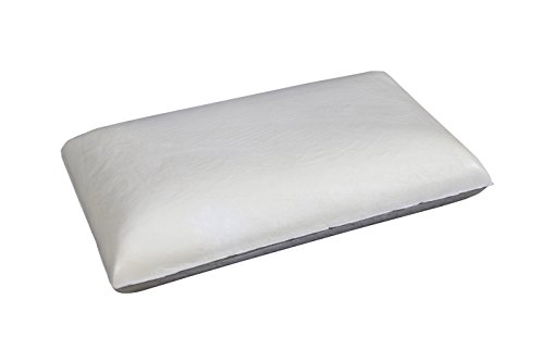 Seasons Dos Almohadas de Viaje viscoelastica Aloe Vera, Hilo de Plata, Blanco, Pack de 2-43x22x10 cm, 432210