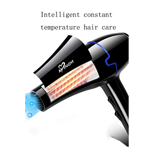 Secador de pelo, Alta Velocidad del Viento, Ajuste de Varias velocidades, Temperatura Constante y sin daños en el Cabello, Adecuado para peluquerías caseras