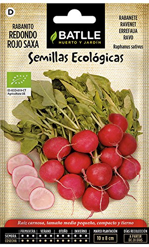 Semillas Ecológicas Hortícolas - Rabanito redondo rojo Saxa - ECO - Batlle