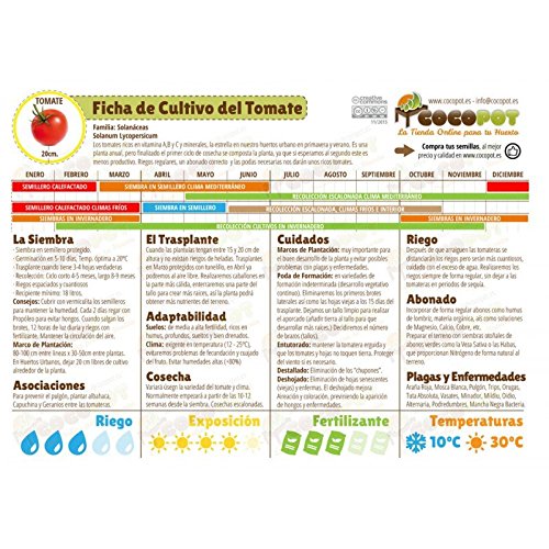 Semillas Ecológicas Hortícolas - Tomate Marmande - ECO - Batlle