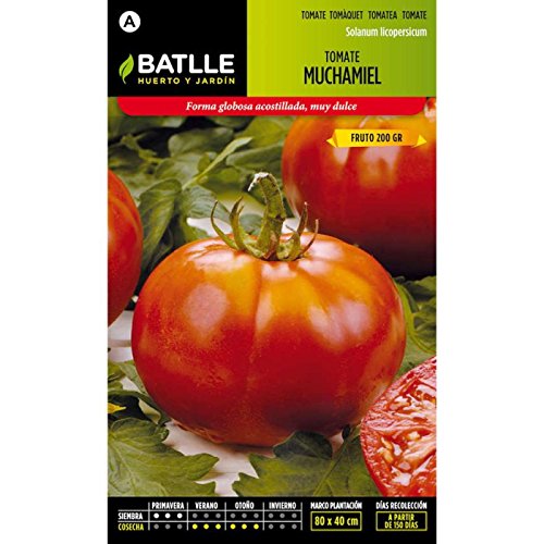 Semillas Hortícolas - Tomate Muchamiel - Batlle