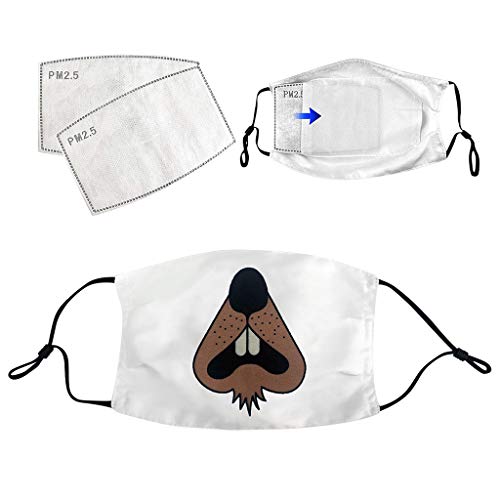 Serria-es 1 protector bucal reutilizable para adultos, protección facial con 2 filtros, pañuelos con gancho para la oreja Strenthy (p1 E)