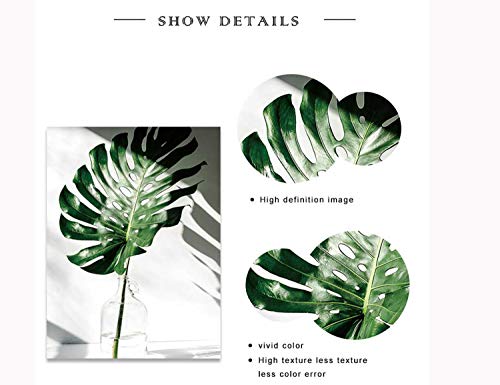 Set de 3 Posters Hojas Verdes y Citas y Cuadros Hojas Tropicales Lienzo Pintura Decorativo pared Salon Cuadro Impresión Fotografica PTGL002-XL