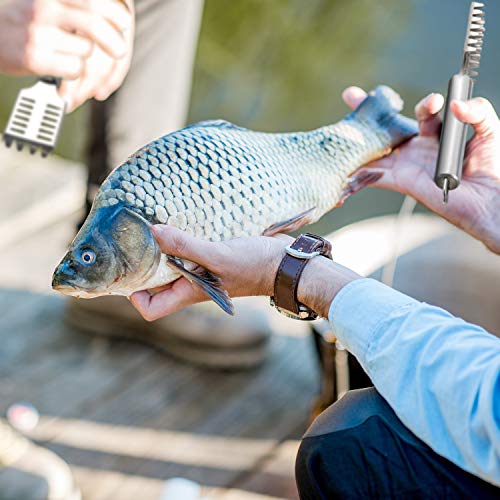 Set de 6 Pinzas de Espina de Pescado Incluye Pinzas de Acero Inoxidable Removedor Raspador de Escamas de Pescado Alicate Plana e Inclinada para Utensilios de Chef, Mariscos, Herramientas de Belleza