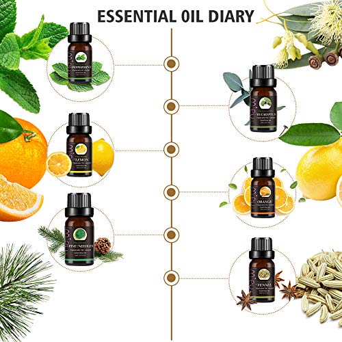 Set de aceites esenciales, Aceites Aromaterapia, Aceites Esenciales, Aceite perfumado, 100% Natural Puro Aromaterapia Aceite Aromático, 6 x 10 ml para Humidificador y Difusor Aroma