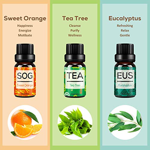 Set de Aceites Esenciales para Difusor,100% Natural Puro Aromaterapia Aceite Aromático,6 x 10 ml Essential Oils Set para Humidificadores, Lámparas de Fragancia,Jabón,SPA,Masaje