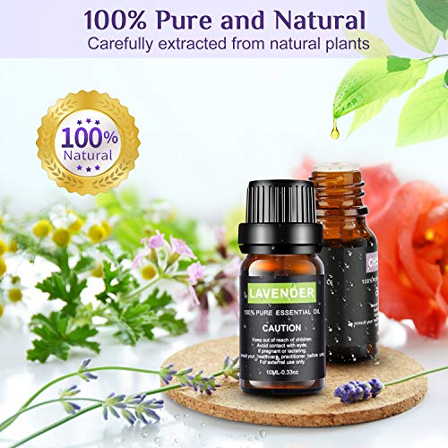 Set de aceites esenciales,100% Natural Puro Aromaterapia Aceite Aromático, Set de Aceites Esenciales para Humidificador y Difusor Aroma (12 Flavor)