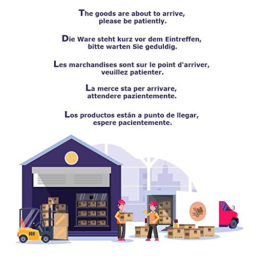 Set de Juego de Toallero de 4 Piezas: Toallero, Porta Rollo de Papel Higiénico, Dos Gancho Acero Inoxidable Autoadhesivo Baño Accesorio Conjunto