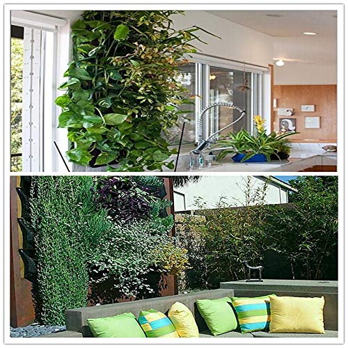 SFGHOUSE - Bolsas de cultivo para colgar en la pared vertical para jardín o exterior, para interior y exterior, 9/18/36 bolsillos