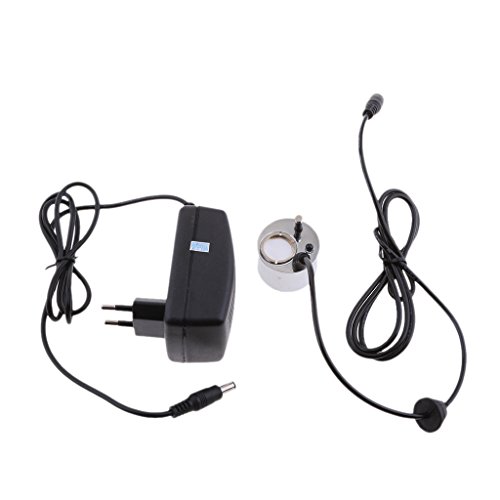 Sharplace Nuevo Ultrasonido Brumizador Humidificador Fuente Estanque 300ml / h - UE Enchufe