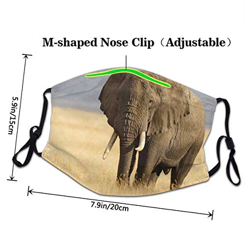 Sheho Protector Facial Reutilizable para la Boca, Elefante Africano y la Sabana del Ngorongoro en Tanzania, protección Facial para Senderismo al Aire Libre, Ciclismo