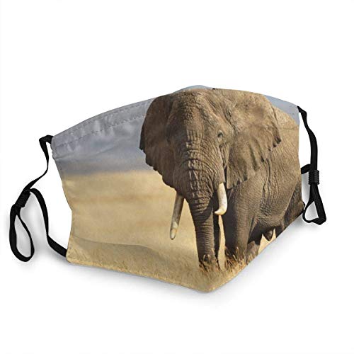Sheho Protector Facial Reutilizable para la Boca, Elefante Africano y la Sabana del Ngorongoro en Tanzania, protección Facial para Senderismo al Aire Libre, Ciclismo