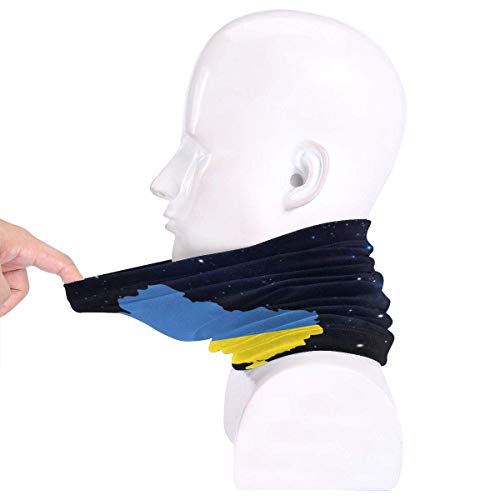 shenguang Ukraine Flag Men Women Cold Weather Polaina del Cuello Tube Mascarilla