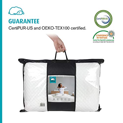 SHHHEEP DREAMS Almohada Aloe Vera Ergonómica Viscoelástica Transpirable Hipoalergénica Antimicrobiana Funda de Tencel Natural