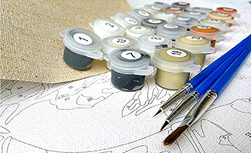 SHILIHOME Sydney Royal Botanic Garden Pintura por números DIY Unique