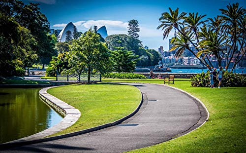 SHILIHOME Sydney Royal Botanic Garden Pintura por números DIY Unique