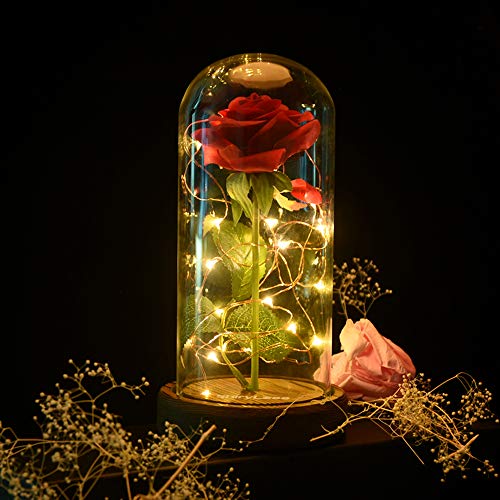 shirylzee La Bella y La Bestia Rosa Encantada, Rosa Eterna Flower Lamp en Glass Dome Luces LED Rosa de Seda Roja Regalos para Día de San Valentín,Cumpleaños,Día de la Madre Aniversario Bodas