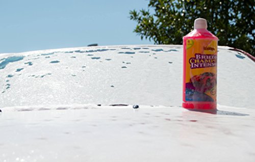 Sisbrill Champú Brillo Intenso - Ultraconcentrado 1:1000 - Limpiador de Coches, pH Neutro y Seguro - 1 Litro