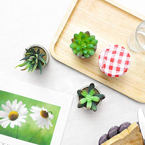 SONGMICS Plantas Suculentas Artificiales en Maceta, 5 Piezas, Plantas Decorativas, Plantas de Casa Falsas para Sala, Oficina, Librería, Decoración de Mesa LAP202GN
