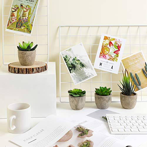 SONGMICS Plantas Suculentas Artificiales en Maceta, 5 Piezas, Plantas Decorativas, Plantas de Casa Falsas para Sala, Oficina, Librería, Decoración de Mesa LAP202GN