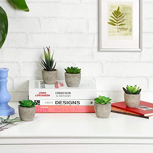 SONGMICS Plantas Suculentas Artificiales en Maceta, 5 Piezas, Plantas Decorativas, Plantas de Casa Falsas para Sala, Oficina, Librería, Decoración de Mesa LAP202GN