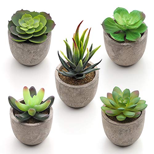 SONGMICS Plantas Suculentas Artificiales en Maceta, 5 Piezas, Plantas Decorativas, Plantas de Casa Falsas para Sala, Oficina, Librería, Decoración de Mesa LAP202GN