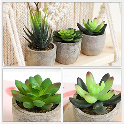 SONGMICS Plantas Suculentas Artificiales en Maceta, 5 Piezas, Plantas Decorativas, Plantas de Casa Falsas para Sala, Oficina, Librería, Decoración de Mesa LAP202GN