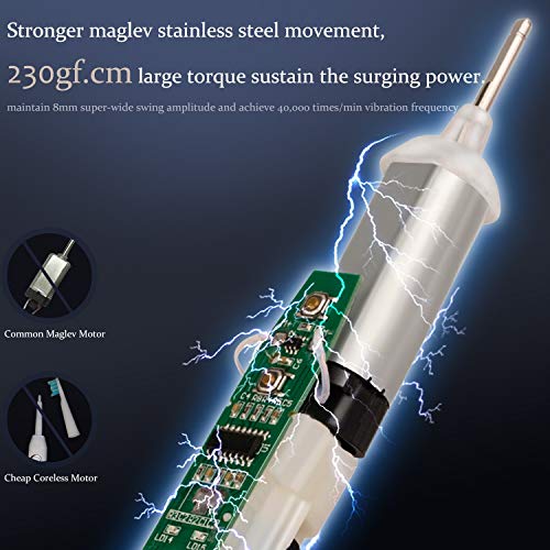 Sporzin Cepillos de Dientes Electricos Cepillo Electrico Cepillo Dientes Electrico Carga USB que Dura 60 Días 3 Modos de Iimpieza y 3 Intensidades 1 Estuche Viaje 2 Cabezales de Repuesto