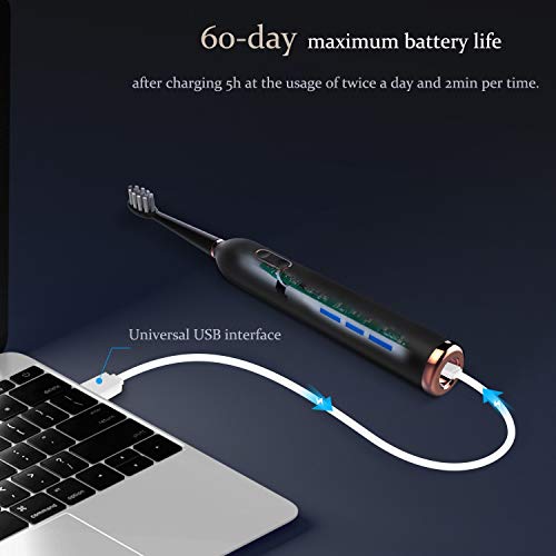 Sporzin Cepillos de Dientes Electricos Cepillo Electrico Cepillo Dientes Electrico Carga USB que Dura 60 Días 3 Modos de Iimpieza y 3 Intensidades 1 Estuche Viaje 2 Cabezales de Repuesto