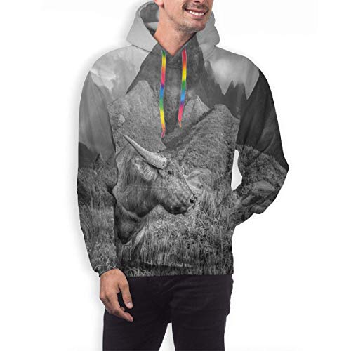 Sudadera con Capucha para Hombre, Imagen monocromática de búfalo en los Campos de arroz y el Monte Fansipan, Camisetas Informales de Manga Larga con Estampado 3D
