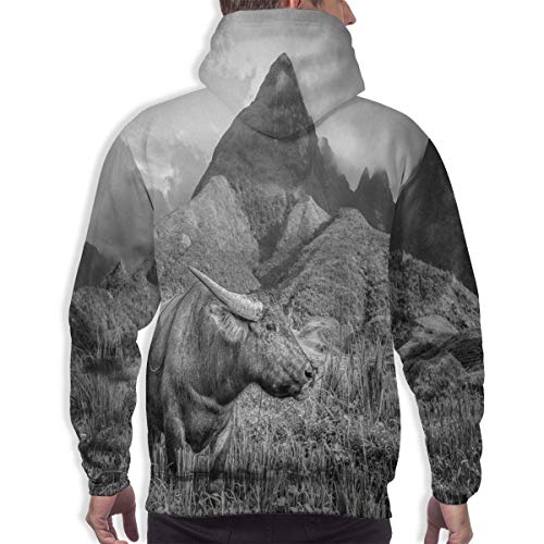 Sudadera con Capucha para Hombre, Imagen monocromática de búfalo en los Campos de arroz y el Monte Fansipan, Camisetas Informales de Manga Larga con Estampado 3D