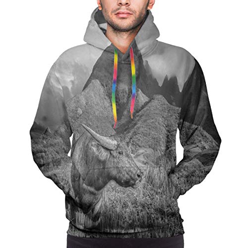 Sudadera con Capucha para Hombre, Imagen monocromática de búfalo en los Campos de arroz y el Monte Fansipan, Camisetas Informales de Manga Larga con Estampado 3D