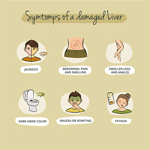 Suplemento para Hígado Vegavero® | Ingredientes 100% Vegetales | Sin Aditivos | Cúrcuma + Alcachofa + Diente de León + Achicoria + Colina | 90 Cápsulas | Desintoxicar Hígado* y Vesícula Biliar