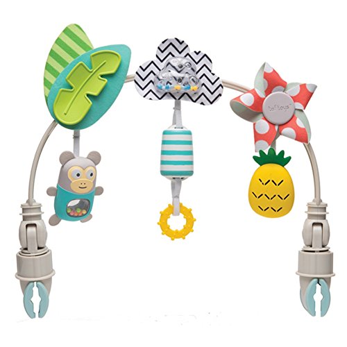 Taf Toys 12135 - Arco de Carrito