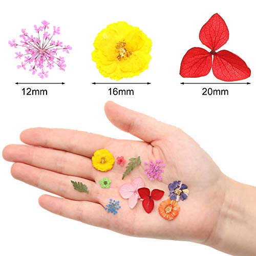Tagaremuser 144 piezas de flores secas de uñas naturales de arte real seco conjunto de uñas aplique 3D accesorio para decoración de uñas