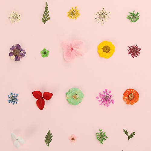 Tagaremuser 144 piezas de flores secas de uñas naturales de arte real seco conjunto de uñas aplique 3D accesorio para decoración de uñas