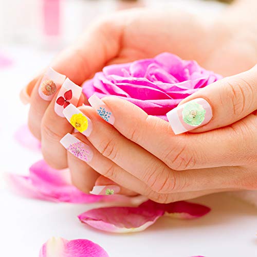 Tagaremuser 144 piezas de flores secas de uñas naturales de arte real seco conjunto de uñas aplique 3D accesorio para decoración de uñas