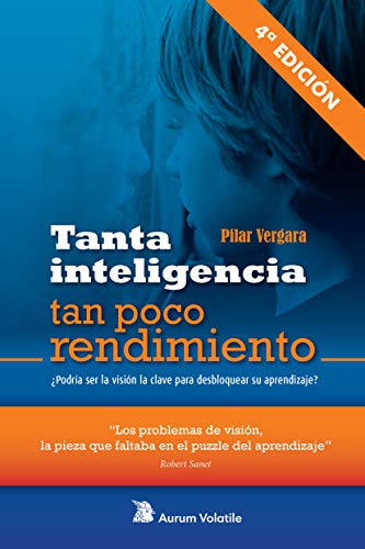 Tanta inteligencia, tan poco rendimiento: ¿Podría ser la visión la clave para desbloquear su aprendizaje?