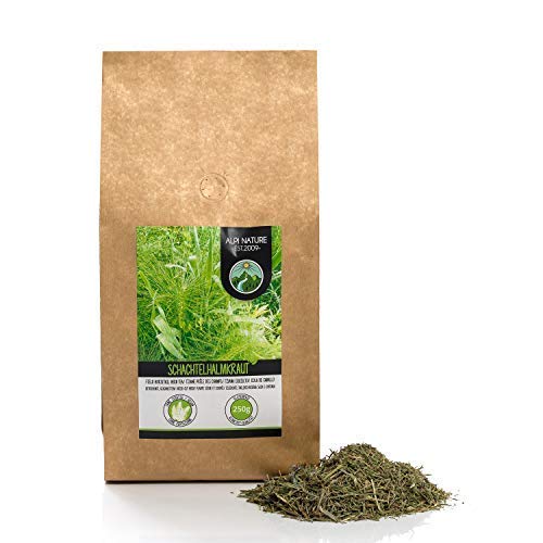 Té de cola de caballo (250g), hierba de cola de caballo cortada, suavemente seca, 100% pura y natural para la preparación de té, té de hierbas