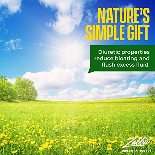 Té de raíz de diente de león – Té orgánico, con vitaminas - 5 paq. (100 bolsas de 2 grs) - Limpia el organismo - Mejora la digestión y fortalece el sistema inmune - Antiinflamatorio y antioxidante