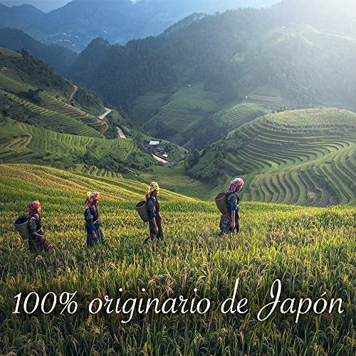 Te Matcha Japonés en Polvo Grado Premium 200gr (200 dosis) - Te Matcha - Matcha - Matcha Tea - Te Verde Matcha - Matcha Polvo - Té Matcha - Té Verde Matcha - Te Matcha en Polvo - Te Matcha Polvo