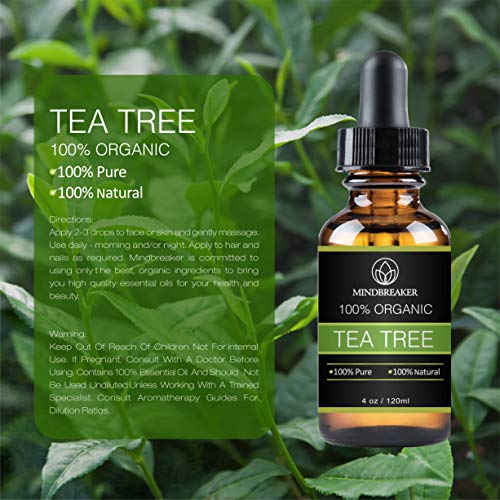 Tea Tree Essential Oil 100% puro y natural grado terapéutico: el mejor paquete de regalo para hombres y mujeres 120ml (4 oz)