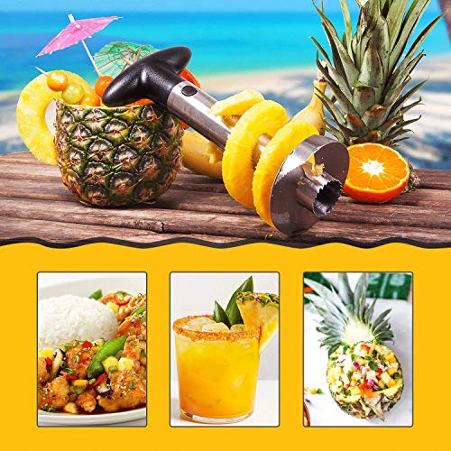 Tech Traders TTPINES Cortador de piña de frutas de acero inoxidable, 0 W