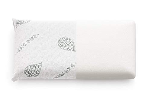 Textilhome - Almohada Viaje Viscoelástica - 43x24 cm - Tejido Ecológico Aloe Vera, núcleo de Visco Puro 100% Natural - Incluye Petate Enrollable.